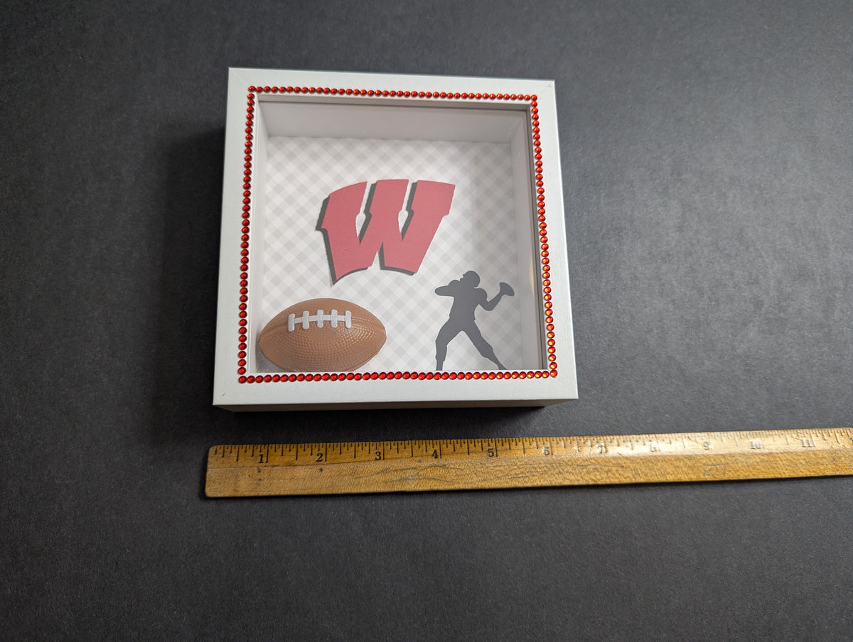 Wisconsin Badgers Shadow Box/Shelf Sitter