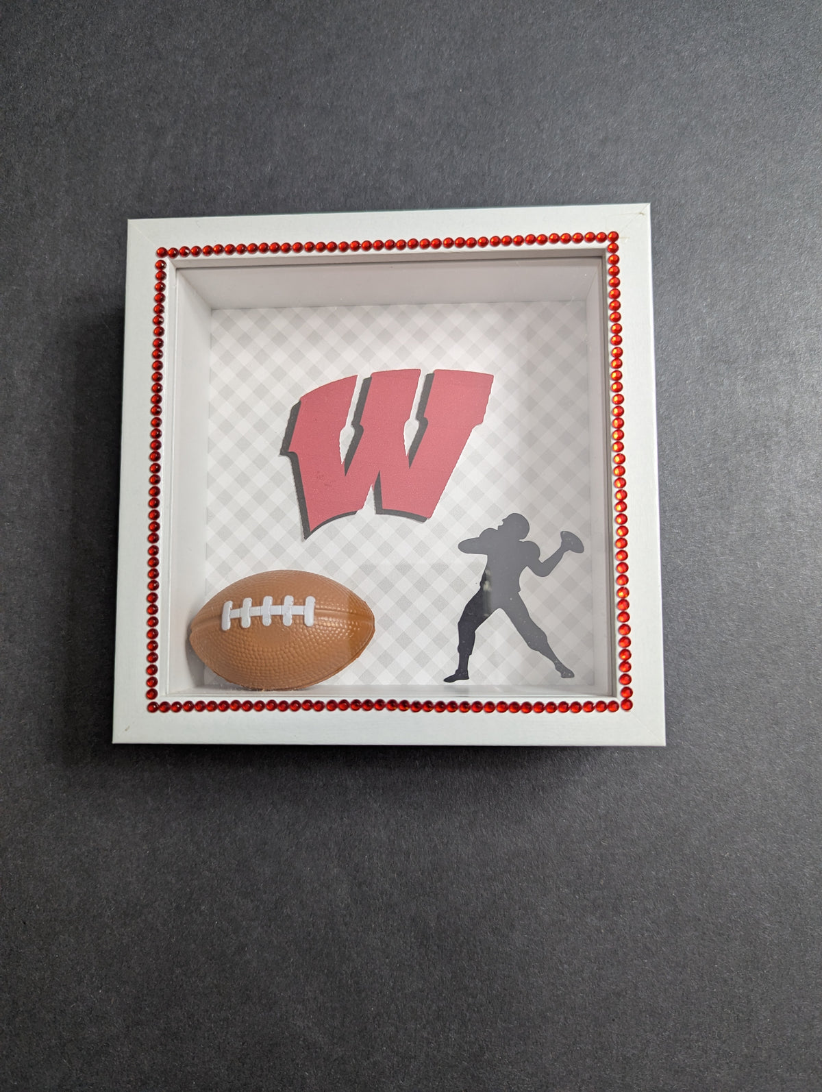 Wisconsin Badgers Shadow Box/Shelf Sitter