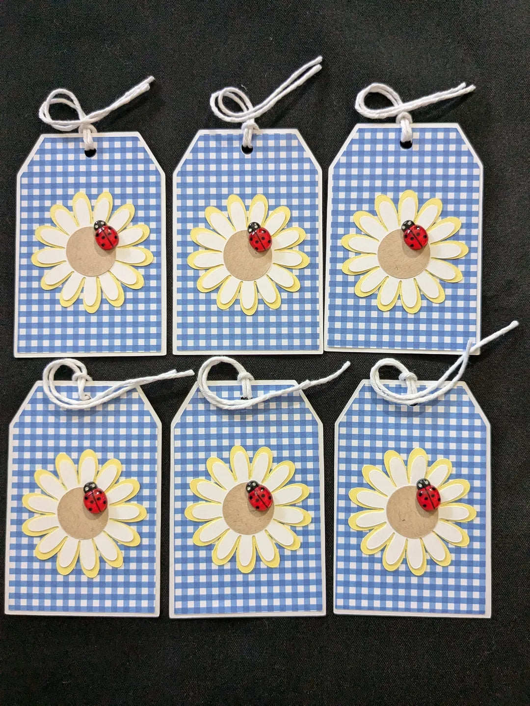 Daisy Gift Tags (Set of 6)