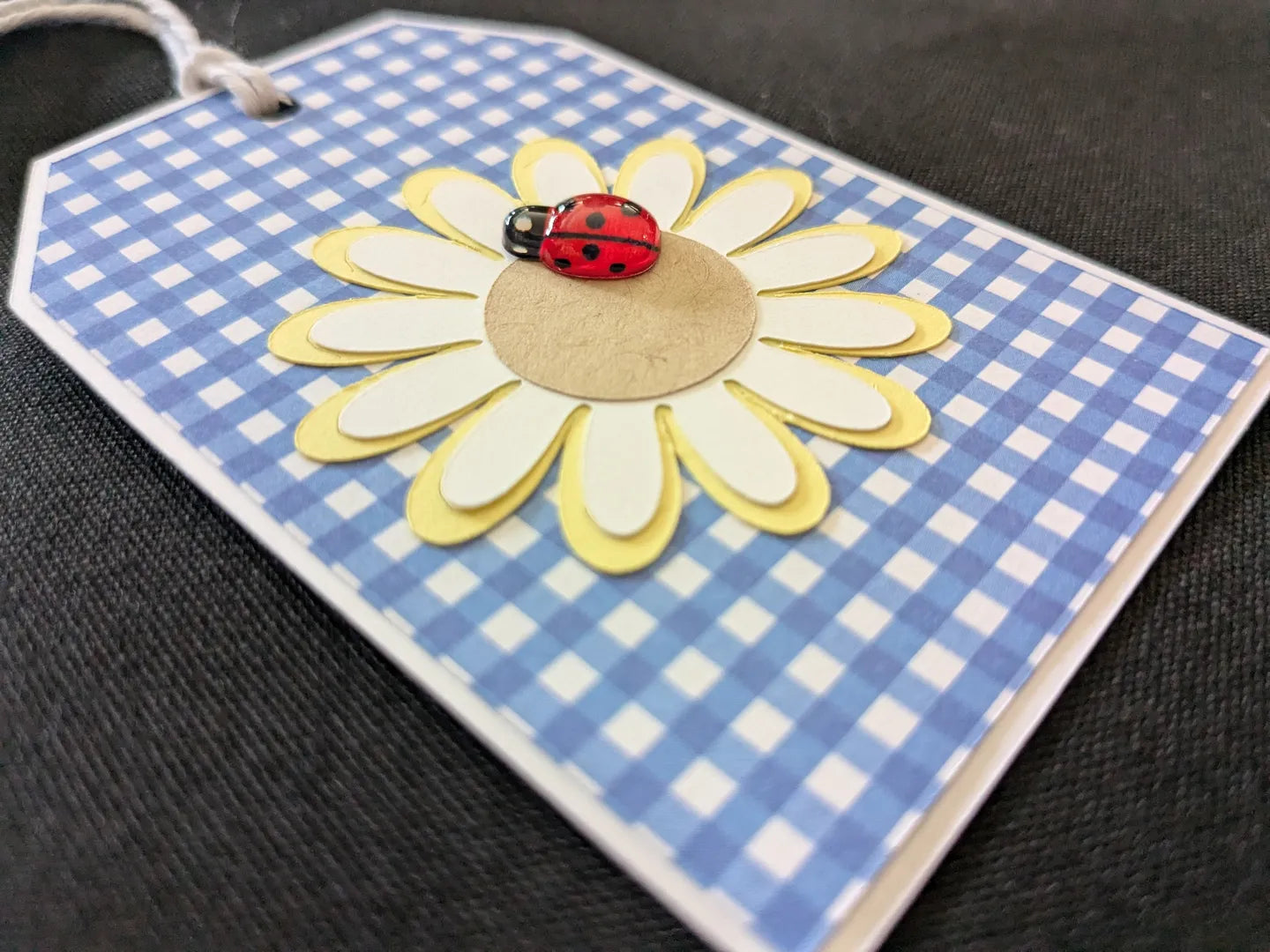 Daisy Gift Tags (Set of 6)